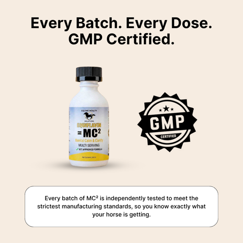 Equiflavin MC² – Equine Health Solutions