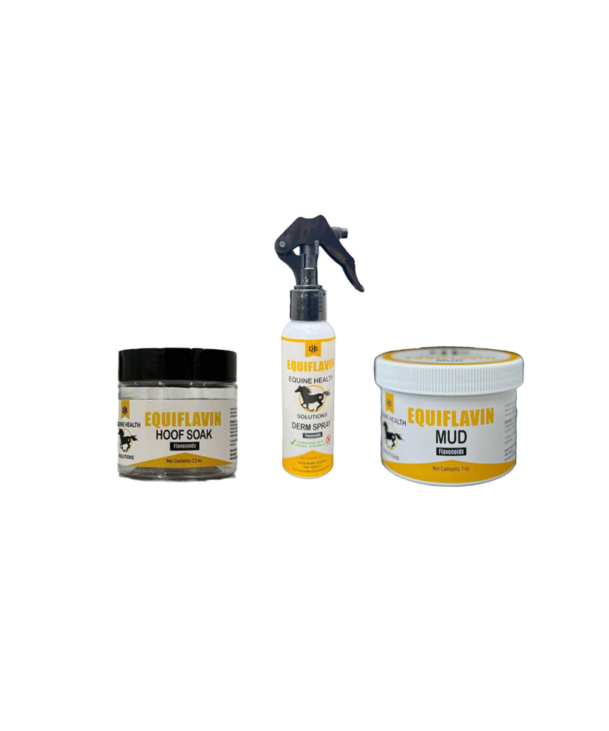 EQUIFLAVIN DERM BUNDLE