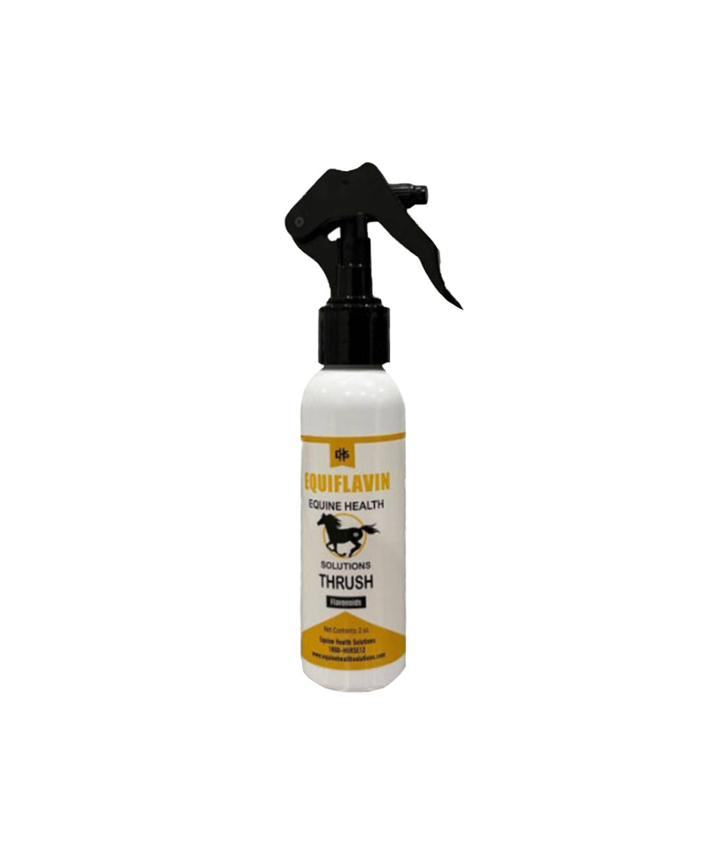 EquiCare Essentials