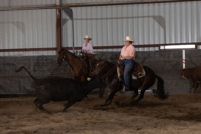 Cutting horses working cattle indoors, from a verified review