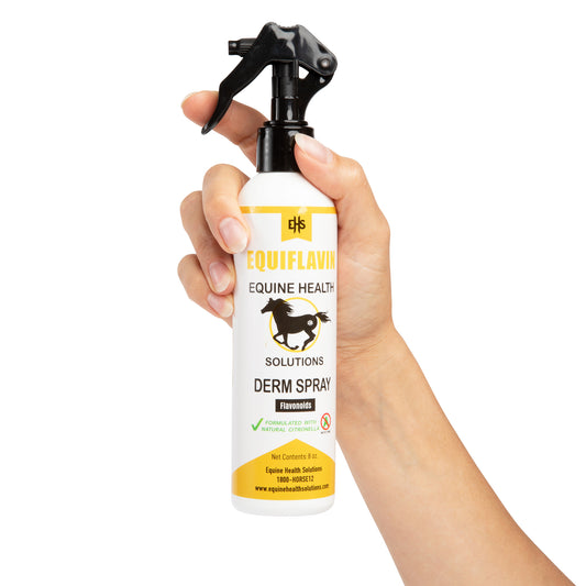 EQUIFLAVIN DERM SPRAY